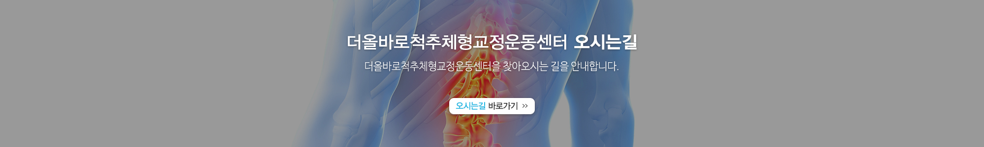 더올바로척추체형교정운동센터_오시는길_PC